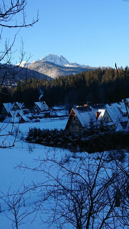 Hostel&Apartments u Florka 2 Zakopane Buitenkant foto